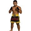 FIGHTERS - Muay Thai Shorts / Schwarz-Gelb / Medium