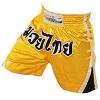 FIGHTERS - Thai Shorts / Farben